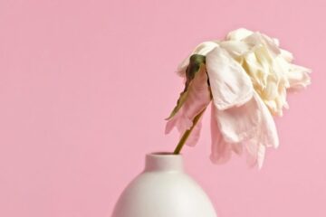 Creative Niche Blog