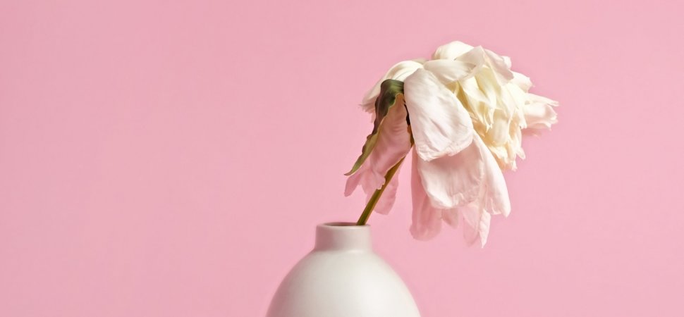 Creative Niche Blog