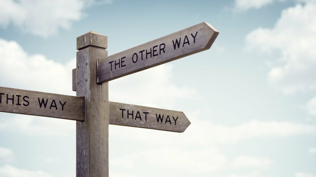 How to decide what career advice to take.